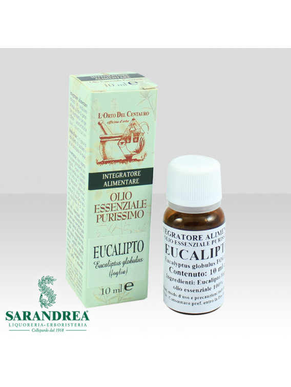 Eucalipto