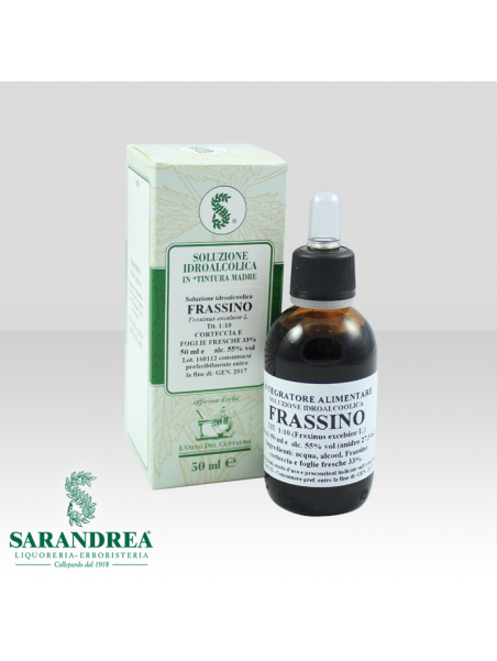 Frassino