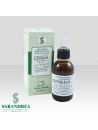 Ginkgo Biloba