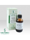 Menta