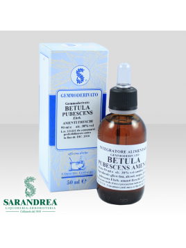 Betulla Pubescente Amenti