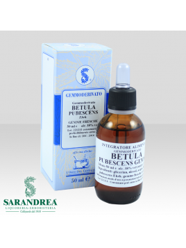 Betulla Pubescente Gemme