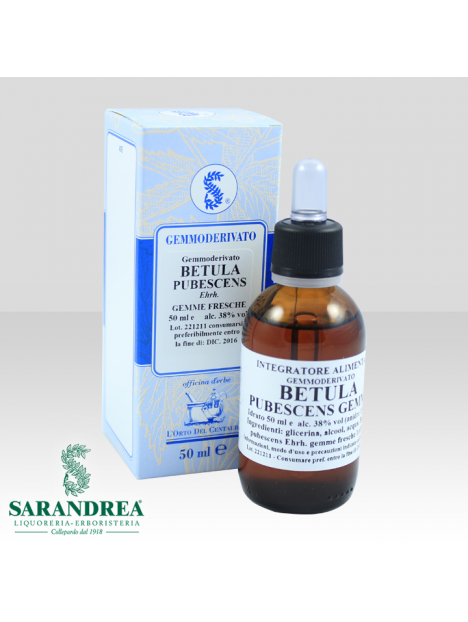 Betulla Pubescente Gemme