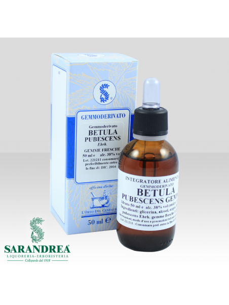 Betulla Pubescente Gemme