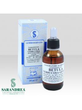 Betulla Verrucosa Gemme