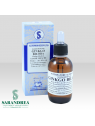 Gingko Biloba