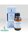 Gingko Biloba