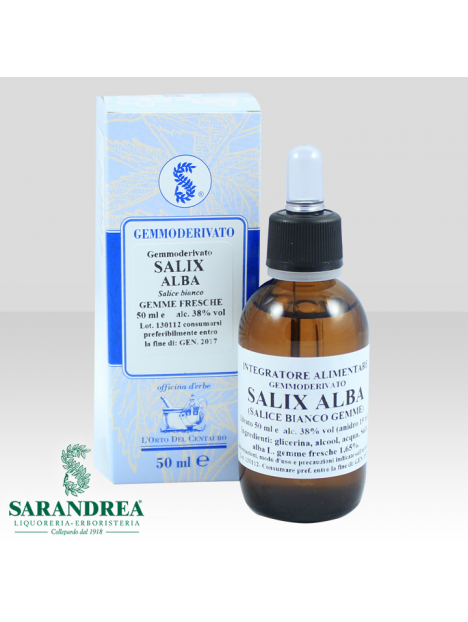 Salix Alba (gemme)