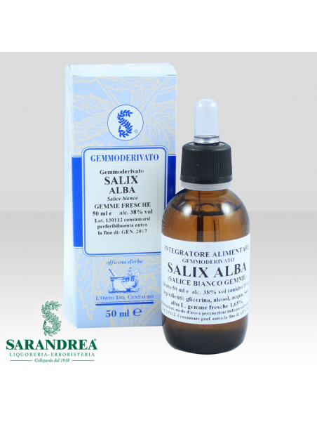 Salix Alba (gemme)