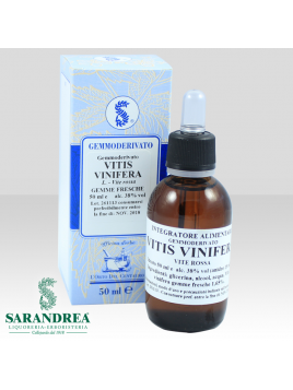 Vitis Vinifera