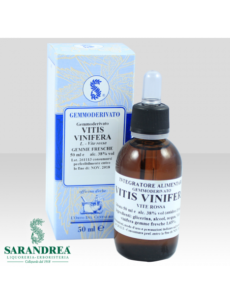 Vitis Vinifera