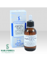 Populus Nigra