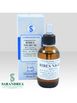Ribes Nigrum