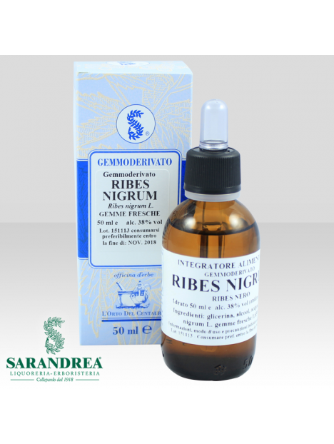 Ribes Nigrum