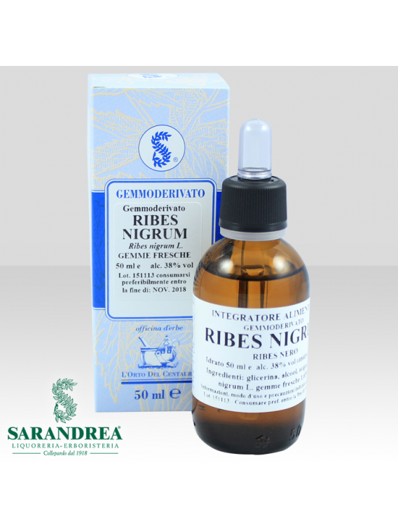 Ribes Nigrum