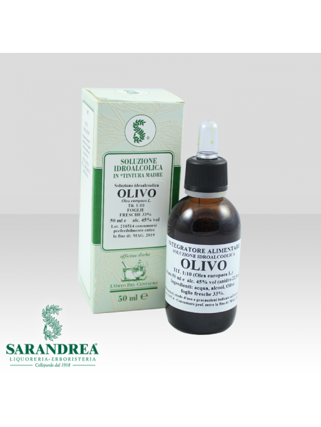Olivo