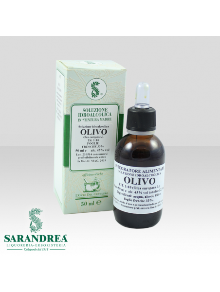 Olivo