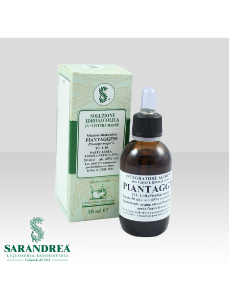 Piantaggine