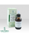 Piantaggine