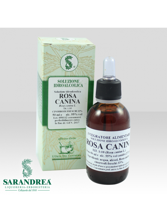 Rosa Canina