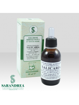 Salicaria