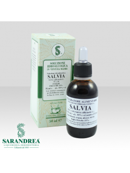 Salvia