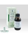 Salvia