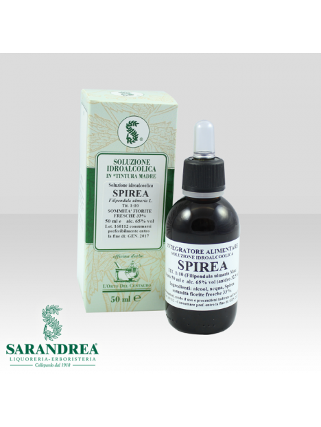Spirea