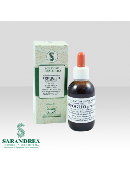 Trifoglio Pratense