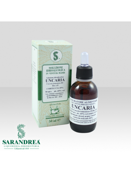 Uncaria