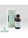 Uncaria