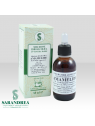 Amamelide