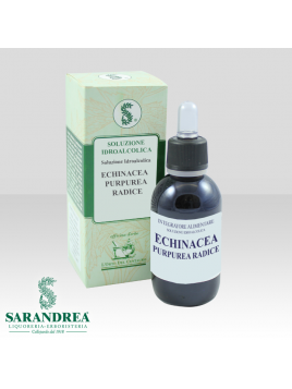 Echinacea Purpurea Radice