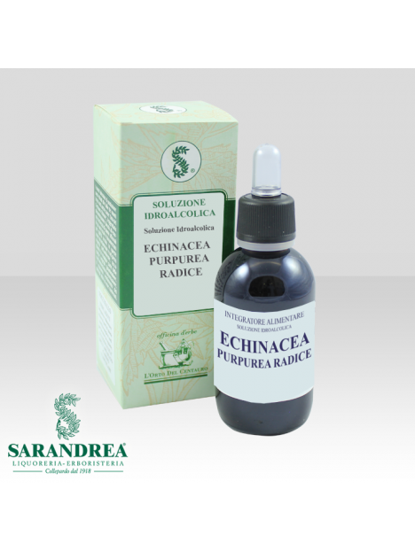Echinacea Purpurea Radice