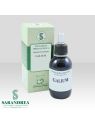 Galium
