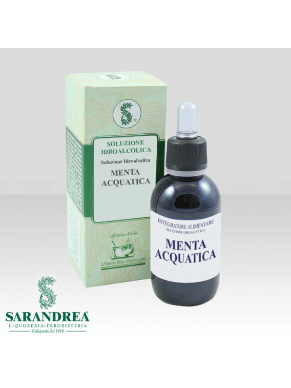 Menta Acquatica