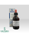 Cercis Siliquastrum gemmoderivato Sarandrea