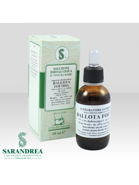 Ballota Fetida