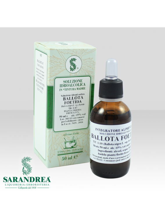 Ballota Fetida