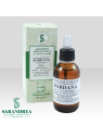 Bardana