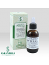 Betulla