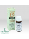 Cannella