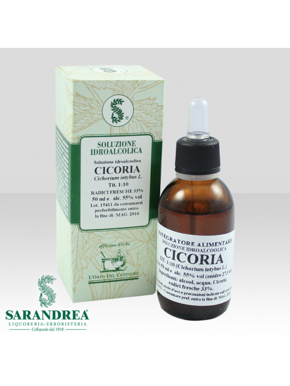 Cicoria