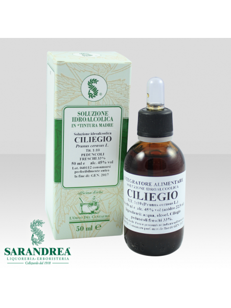 Ciliegio