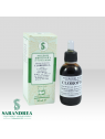 Clorofilla