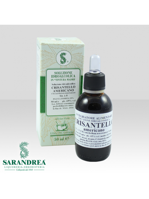 Crisantello Americano