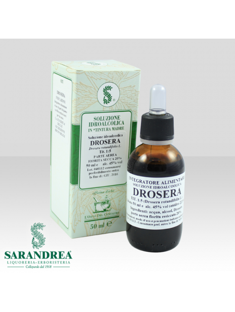 Drosera