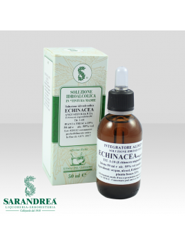 Echinacea Ang. Pianta